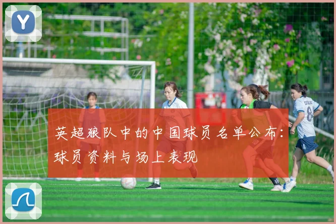英超狼队中的中国球员名单公布：球员资料与场上表现