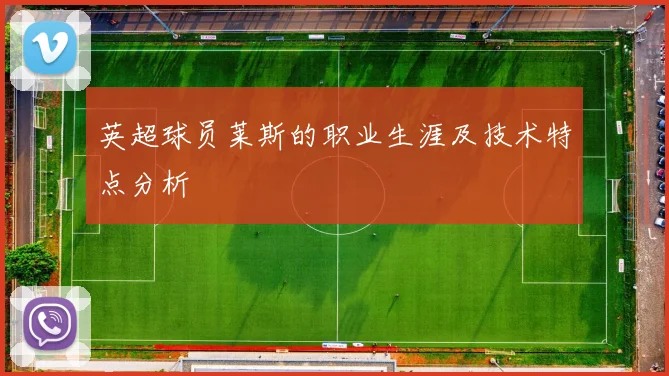 英超球员莱斯的职业生涯及技术特点分析