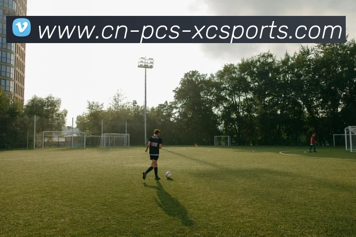 杏彩体育APP 高清赛事图